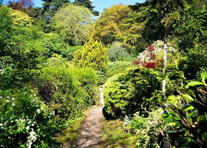 Tra Cielo E * צ'רנוביו