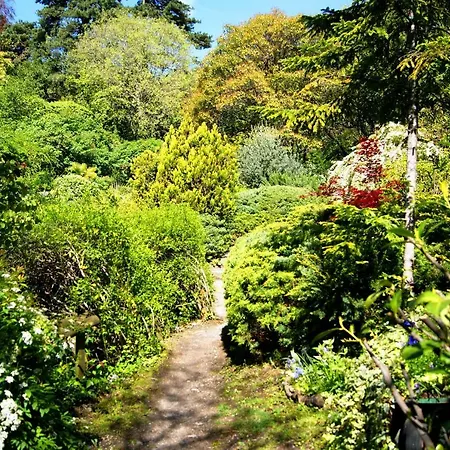 Tra Cielo E * Τσερνόμπιο